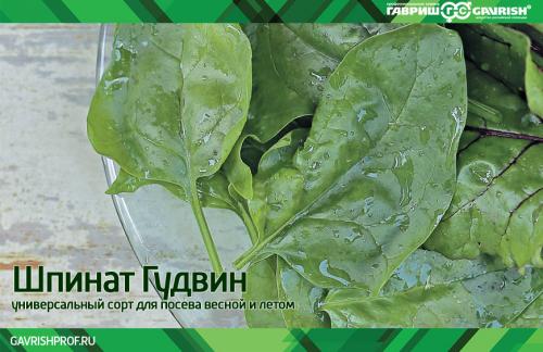 Шпинат: супер-продукт для похудения и здоровья 06