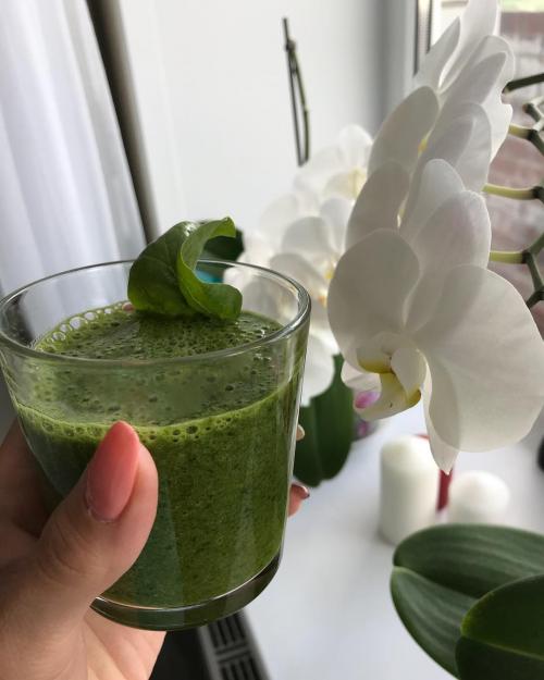 Какие блюда можно приготовить с добавлением шпината для ускорения метаболизма. 14 вкусных ПП рецептов со шпинатом