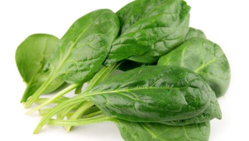 Есть ли противопоказания к употреблению шпината. Все про шпинат — где применяется, как его готовить и какие показания и противопоказания имеет эта замечательная трава