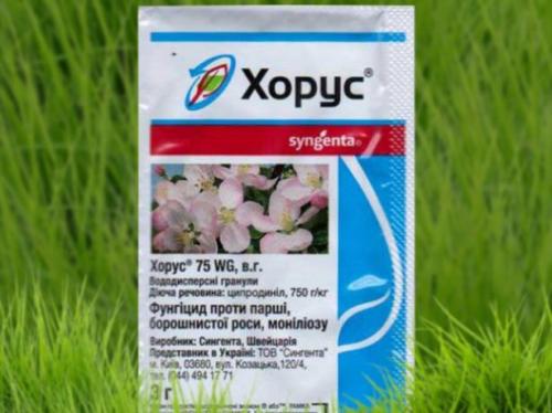 Обработка плодовых деревьев от парши. Фунгициды химические