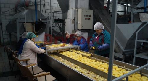 Какое оборудование можно использовать для ускоренной сушки картофеля. Технология производства сушеного картофеля.