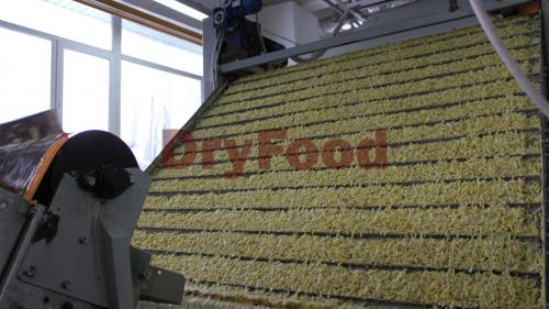 Какое оборудование можно использовать для ускоренной сушки картофеля. Технология производства сушеного картофеля.