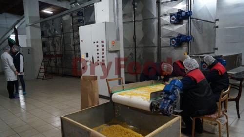 Какое оборудование можно использовать для ускоренной сушки картофеля. Технология производства сушеного картофеля.