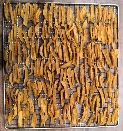 Как быстро просушить собранный картофель. Сушка продуктов. Картофель