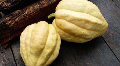 Тыква зеленого цвета сорт. Виды, разновидности и сорта тыквы: 30+ сортов с описанием и фото 14