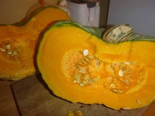 Сорта тыквы для сока.  Тыква «Мускат Прованса» – лучшая Тыква для приготовления сока